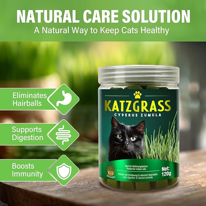 Cat Grass Treats, Natural & Health Cat Treats, Natural Hairball Relief & Teeth Cleaning Chews for Indoor Cats