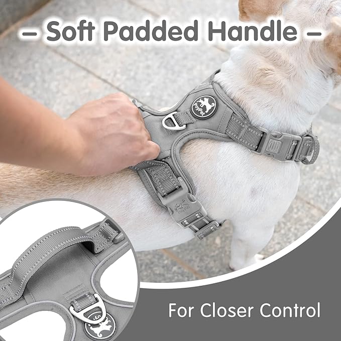 PoyPet No Pull Dog Harness and 5 Feet Leash Set, Release on Neck Reflective Adjustable Pet Vest, Front & Back 2 D-Ring and Soft Padded Pet Harness with Handle for Small to Large Dogs(Grey,M)