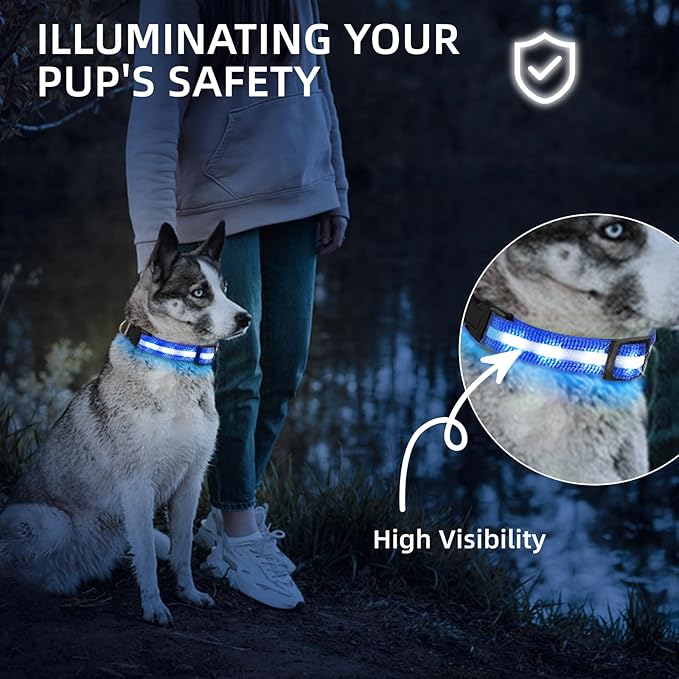 Super Bright LED Dog Collar - Fully Waterproof & Adjustable Glow Collar - USB-C Rechargeable for Night Walking, Safety - Flashing Lighted Collar for Dogs(Blue,Small)