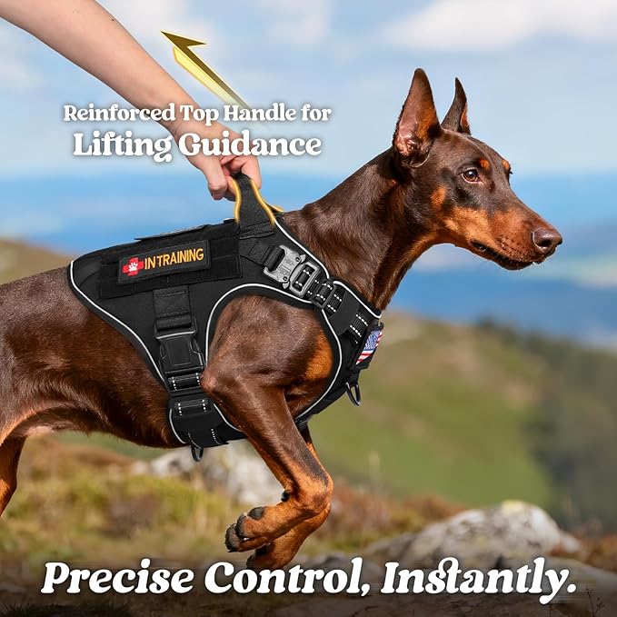 rabbitgoo Tactical Dog Harness for Large Dogs, No Pull Upgraded Reflective Heavy Duty Molle Vest with Handle, Adjustable Military Service Dog Vest for Walking Hiking Training, Black, XL