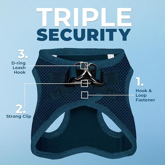 Voyager Step-in Air Cat Harness - All Weather Mesh Step in Vest Harness for Small and Medium Cats by Best Pet Supplies - Set (Blue), XXS