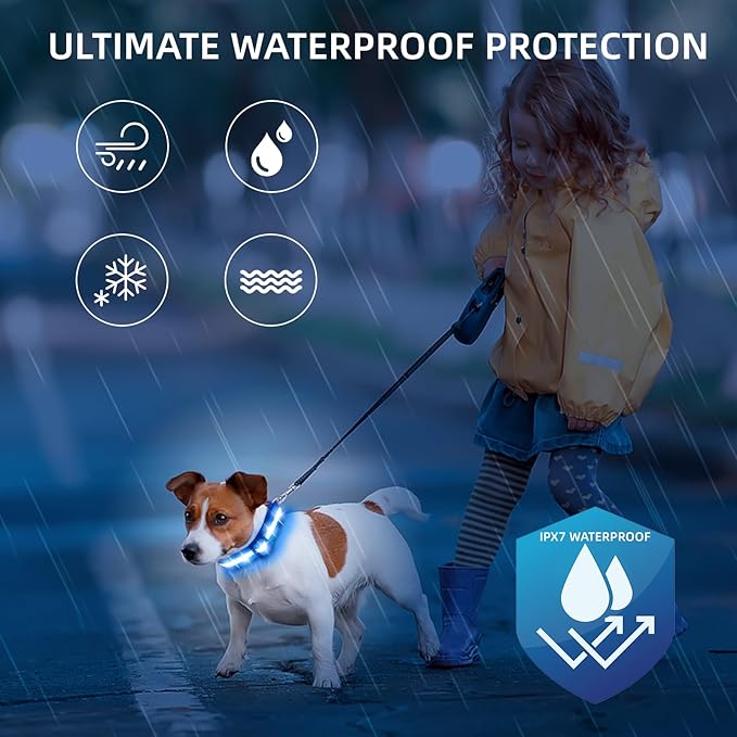 LED Dog Collar for Small Dogs Cats - Fully Waterproof & Adjustable Glow Collar - USB-C Rechargeable for Night Walking, Safety - Flashing Lighted Collar for Dogs(Blue,XS)