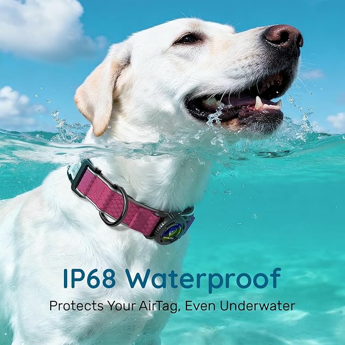 AirTag Dog Collar with QR Code ID & Waterproof Holder - Reflective, Durable Padded Oxford Collar Compatible with Apple AirTags for Medium Dogs (Rose Red, M)