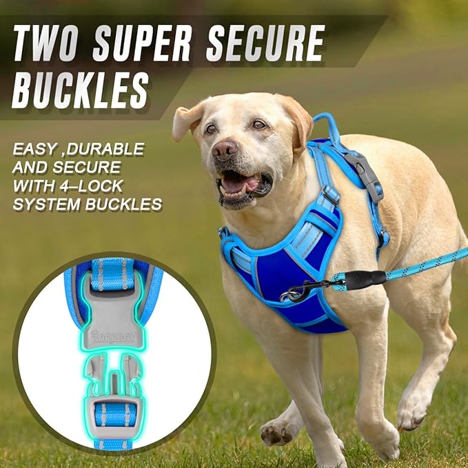 BARKBAY No Pull Dog Harness Front Clip Heavy Duty Reflective Easy Control Handle for Large Dog Walking(Sapphire Blue & Blue,XL)