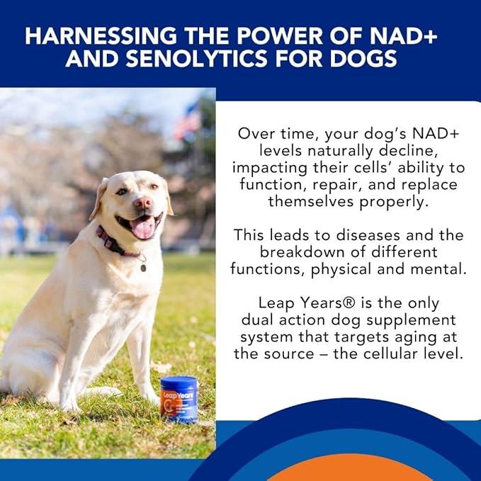 Soft Chew - Dog Supplement for Brain, Heart & Muscle Health, Supports Longevity, Veterinarian-Formulated with NAD+ & Senolytic, Patent-Pending Formula, 31 Chews, Small/Medium Breed