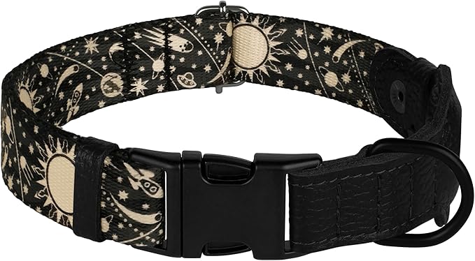 AirTag Dog Collar with Metal Buckle - Printed Nylon Soft Leather Dog Collar with Apple AirTag Holder - Secure Tracking GPS Pet Collars for Girl Boy Small Large Dogs (M, 14"-18" Neck Fit, Space)