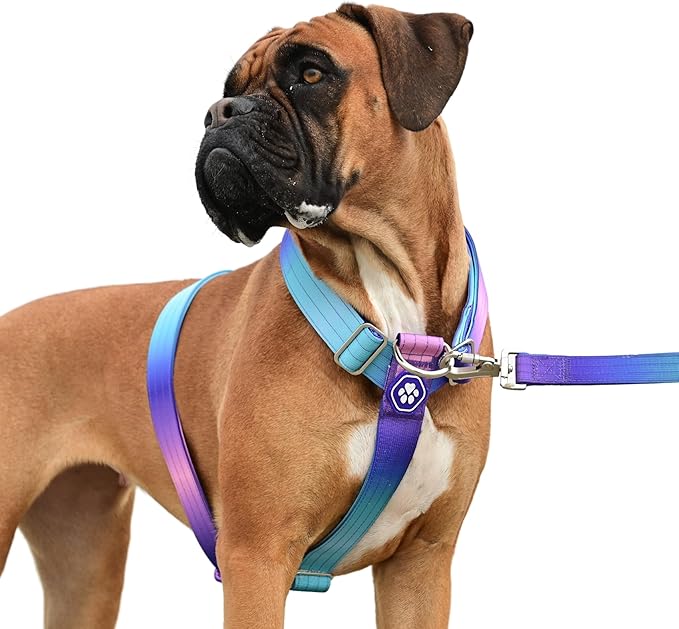 Spark Paws No Pull Dog Harness for Large Dogs, Heavy Duty Dog Harness for Big Strong Breeds, Adjustable, Y Shaped Padded Halter Design with Front Clip - 90s Retro – M