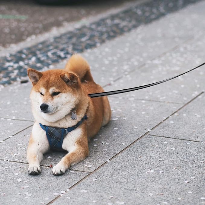 Segarty Dog Leash Retractable 26ft, Dog Leashes for Small Medium Large Pets Up to 110lbs, Heavy Duty 1 Button Break & Lock No Tangle Nylon Leads for Pet Walking & Training, Black