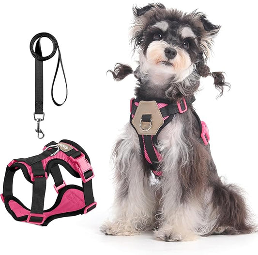 Small Dog Harness and Leash Set, Breathable Mesh Puppy Harness, Adjustable Dog Harness for Small Medium Large Dogs, No-Pull Pet Harness for Daily Walking (Hotpink, Medium)