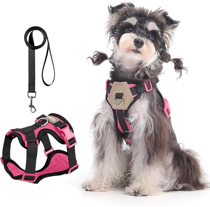 Small Dog Harness and Leash Set, Breathable Mesh Puppy Harness, Adjustable Dog Harness for Small Medium Large Dogs, No-Pull Pet Harness for Daily Walking (Hotpink, Large)