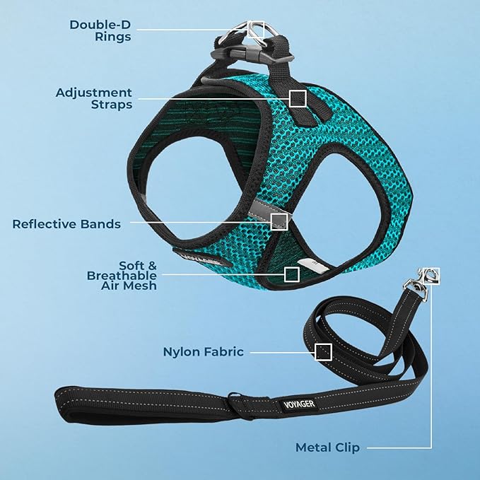 Voyager Step-in Air All Weather Mesh Harness and Reflective Dog 5 ft Leash Combo with Neoprene Handle, for Small, Medium and Large Breed Puppies by Best Pet Supplies - Turquoise (2-Tone), L
