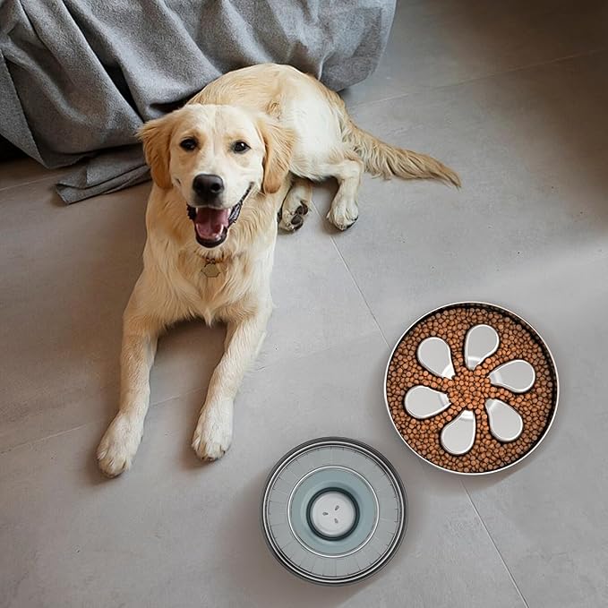 Slow Feeder Dog Bowl-3Cups for Large Breeds, Food Grade 304 Stainless Steel Dog Bowls with Non-Slip Base, Maze Pet Dish to Slow Down Eating, Dishwasher-Safe [2Pack]