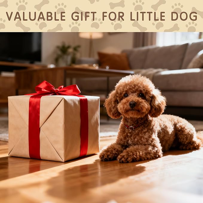 Dog Bed, Portable Couch Sofa, Converts to Backpack for Home, Camping & Travel, Washable Cover & Foldable Soft Memory Foam for Extra Small & Small Dogs, Indoor & Outdoor Use