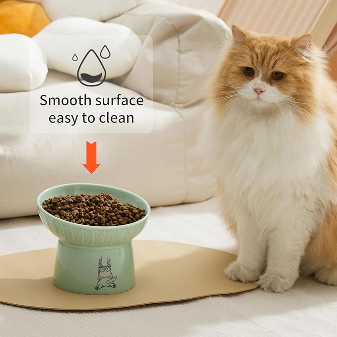 OMAYKEY 6.5 Inch Extra Wide Elevated Cat Bowls, Ceramic Raised Tilted Cat Bowl for Food and Water, Porcelain Pet Feeder Dishes for Cats & Dogs, Whisker Fatigue, White & Green