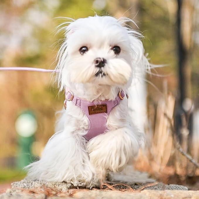PUPTECK Dog Harness and Leash Set Small Sized, Step-in Cute Puppy Harness, Soft Lightweight Padded Vest, Escape Proof No Pull Pet Harnesses Easy for Walking, Purple, S