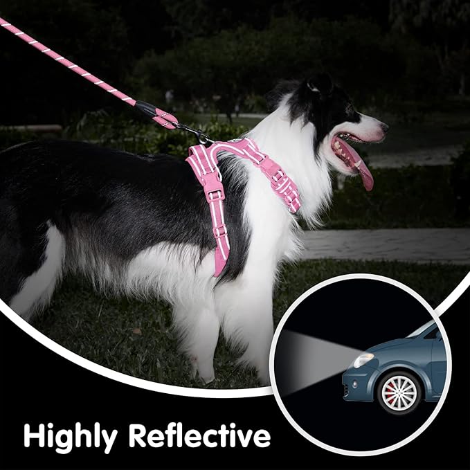 PoyPet No Pull Dog Harness and 5 Feet Leash Set, Release on Neck Reflective Adjustable Pet Vest, Front & Back 2 D-Ring and Soft Padded Pet Harness with Handle for Small to Large Dogs(Pink,M)