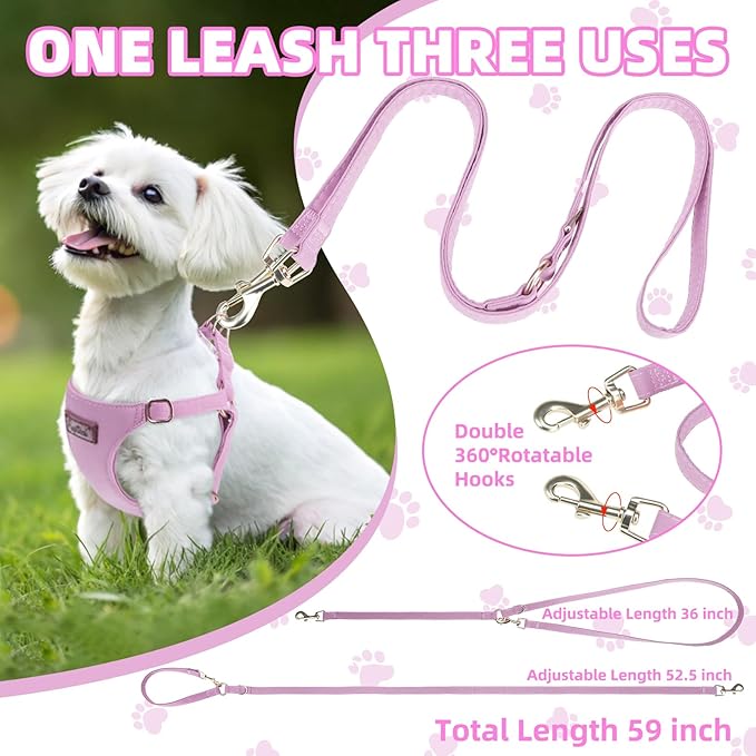 PUPTECK Dog Harness and Leash Set Small Sized, Step-in Cute Puppy Harness, Soft Lightweight Padded Vest, Escape Proof No Pull Pet Harnesses Easy for Walking, Purple, M