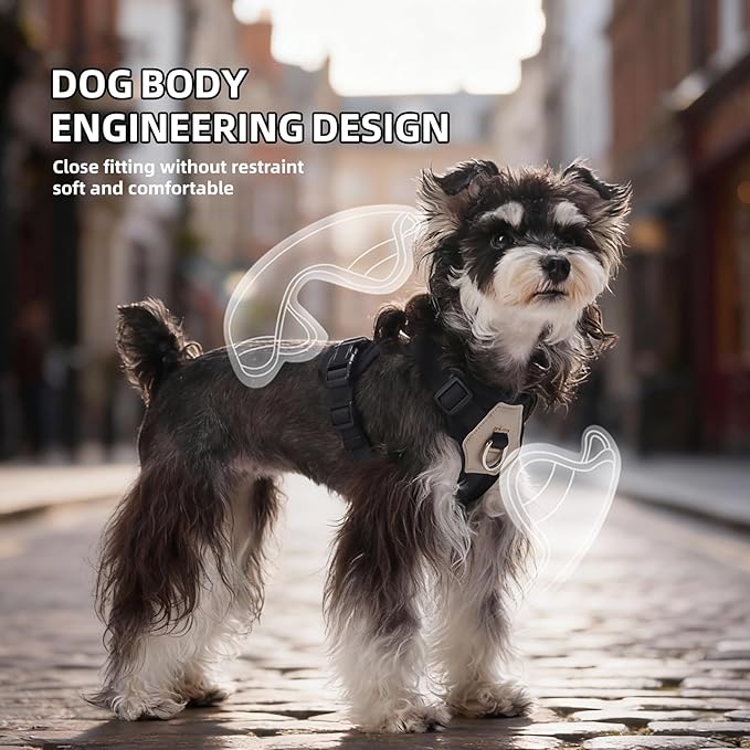 Small Dog Harness and Leash Set, Breathable Mesh Puppy Harness, Adjustable Dog Harness for Small Medium Large Dogs, No-Pull Pet Harness for Daily Walking (Black, X-Large)