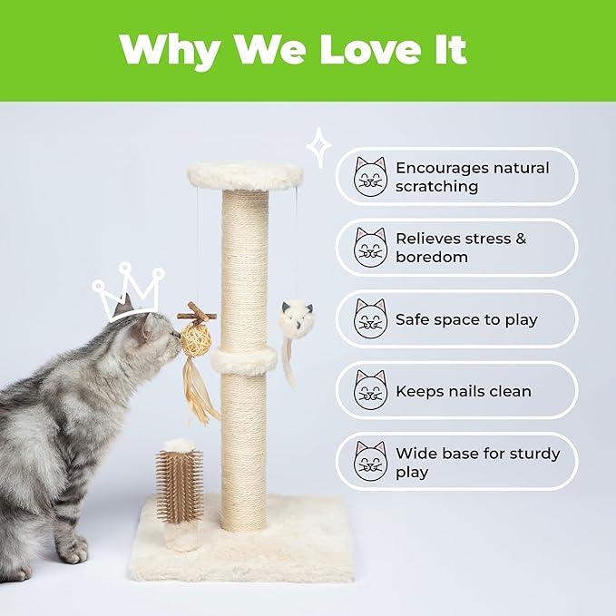 Best Pet Supplies Catify Cat Scratcher, Fun Interactive Scratchers, Posts, Poles, Claw Safe, Furniture Saver Indoor Play Support Natural Cat Behaviors Heavy Duty - Beige