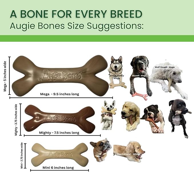 2-Pack Non-Toxic Dog Toys - Sustainable Bacon Flavored Dog Chew Toys for Aggressive Chewers - Plant-Based Bioplastic Pet Toys - Made in The USA (Mini)