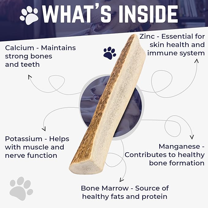 Devil Dog Pet Co. Split Elk Antlers for Dogs, Jumbo 8"+, 1 Pack, Grade A Long Lasting Chew for Aggressive Chewers, Premium USA Naturally Shed Antler – Healthy, No Odor, Durable Dog Chew