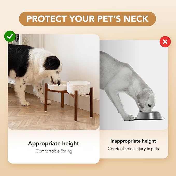 Ceramic 1.6 Cup Raised Slow Feeder Dog Bowl Set, Elevated 7.3inch Bowl and 8.2inch Slow Feeder Dish with Acacia Wood Stand for Medium and Large Dogs (2 x Reactived Glaze -White+ Stand)