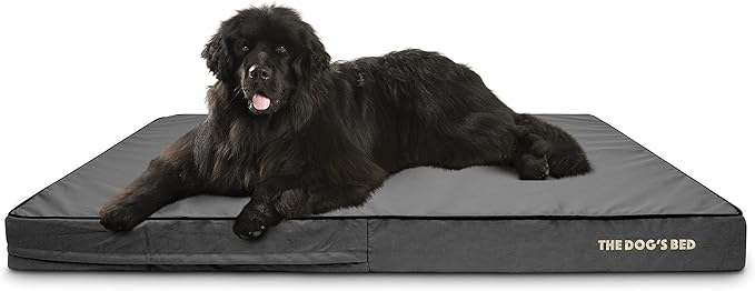 The Dog’s Bed Orthopedic Memory Foam Dog Bed, XXXL Grey & Black, Waterproof, Supportive Dog Bed with Replaceable Covers, Veterinary Approved