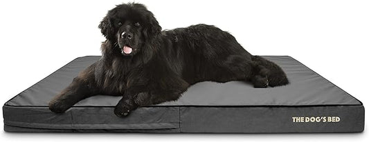 The Dog’s Bed Orthopedic Memory Foam Dog Bed, XXXL Grey & Black, Waterproof, Supportive Dog Bed with Replaceable Covers, Veterinary Approved