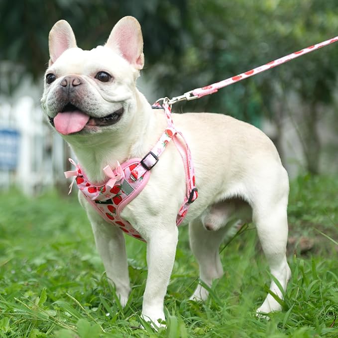 PUPTECK Dog Harness and Leash Set Small Sized, Step in No Pull Adjustable Puppy Cat Harness Reflective Pet Vest