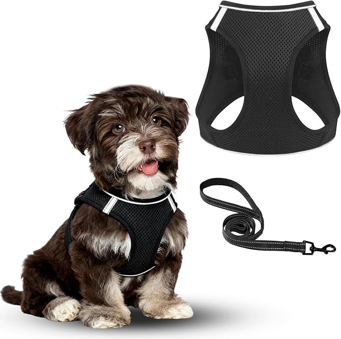 Dog Harness and Leash Set, No Pull Mesh Puppy Harness for Small Medium Sized Dogs, Pet Vest for Walking Running Training, Double D-Rings Reflective Strip