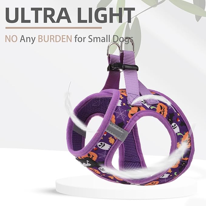 PUPTECK Dog Harness and Leash Set for Small Medium Dogs No Pull Step-in Soft Mesh Puppy Cat Vest Harnesses Reflective at Night, Halloween Purple, M