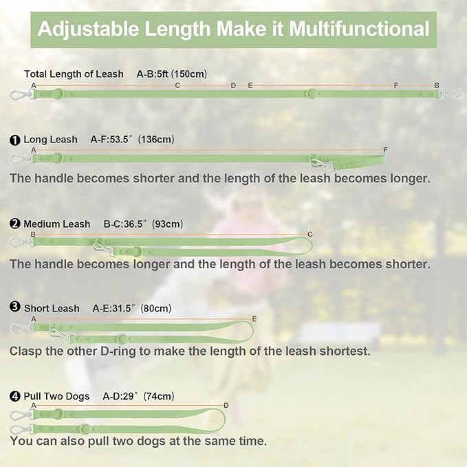 Wisedog Waterproof Dog Leash – 5ft/6ft Adjustable with 2 Metal Swivel Hooks, Easy to Clean Dog Leashes for Small, Medium, Large Breed Dogs (Sage Green,M)