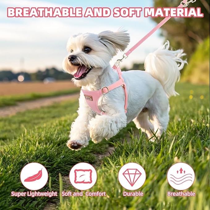 PUPTECK Dog Harness and Leash Set Small Sized, Step-in Cute Puppy Harness, Soft Lightweight Padded Vest, Escape Proof No Pull Pet Harnesses Easy for Walking, Pink, XXS