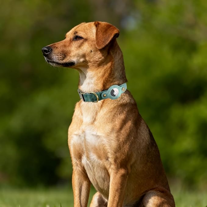 AirTag Dog Collar for Large Dogs - Soft Leather Dog Collar with Apple AirTag Holder and Metal Buckle - Smart Tracker GPS Apple Air Tag Pet Collars (Green, L)