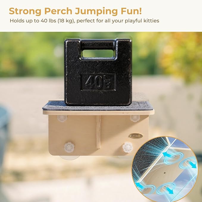 Pecute 2-in-1 Cat Window Perch & Wall Shelves - Sturdy Solid Wood Frame, 4 Large Rotating Suction Cups, Washable Carpet Cloth Cover, Space-Saving Indoor Cat Hammock Bed for Kittens Inside, 12"x10"