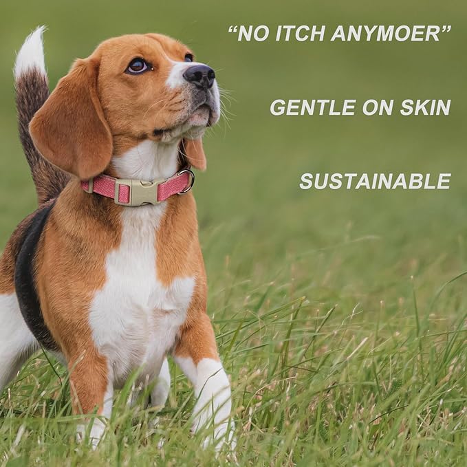 Plutus Pet Cotton Hemp Dog Collar and Leash Set, Adjustable Collar for Small, Medium, and Large Dogs, Heavy Duty and Soft on Skin, Hot Pink, M