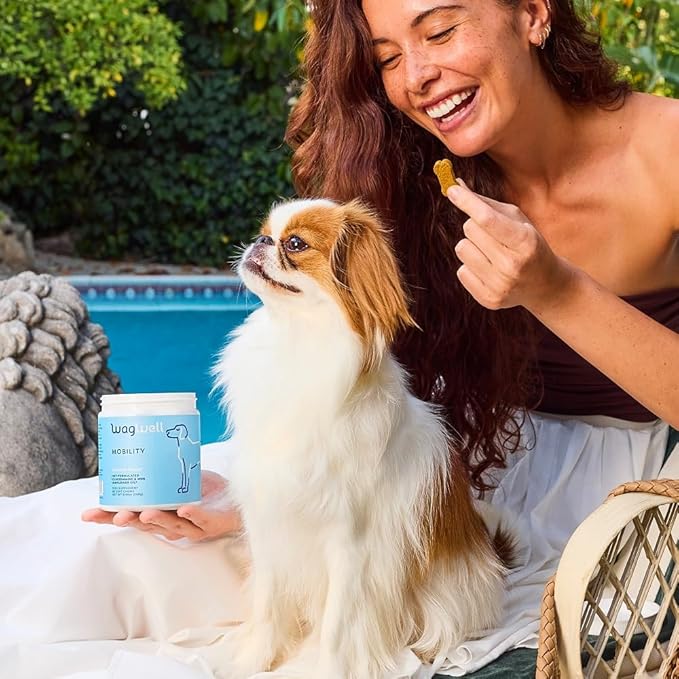 WagWell Mobility Chews – Vet-Formulated, All Natural, Made in The USA – Joint Supplement for Dogs with Glucosamine & Chondroitin – Helps Reduce Inflammation & Promotes Joint Health, 60 Chews