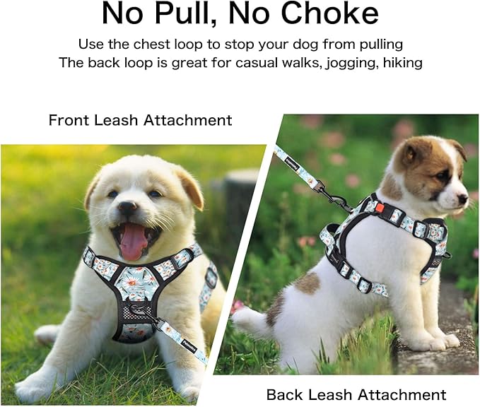 Petmolico No Pull Dog Harness Set with Leash Attachment Easy Control Handle Reflective Harness Vest Small Breed, Puppy Vest and Leash Set with Poop Bag Holder, Medium - Daisy