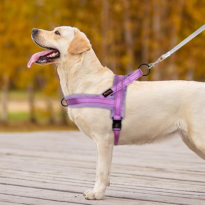 Didog Soft Flannel Padded Dog Vest Harness, No Pull/Quick Fit Reflective Dog Strap Harness, Easy for Training Walking (XS:Chest 15-18", Purple)