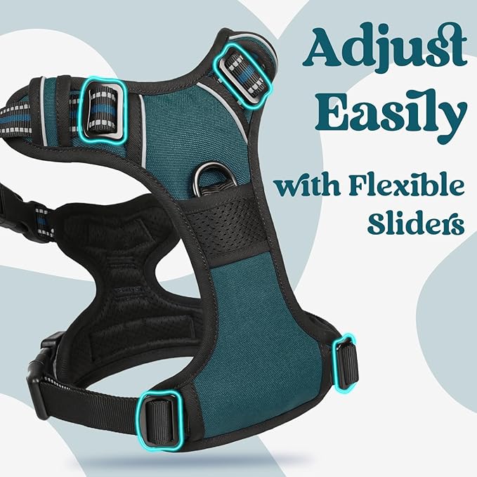 rabbitgoo Dog Harness Medium Sized, No Pull Pet Harness with 3 Buckles, Adjustable Soft Padded Vest with Control Handle, Walking Reflective Pet Vest for Medium Dogs, Blue Coral, M