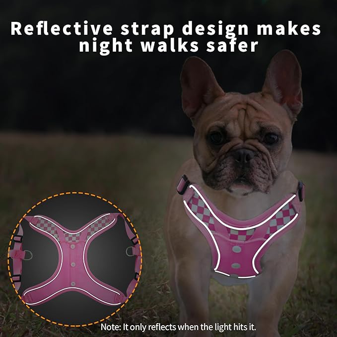 Fashion Lovely Dog Harness with Leash Set, No Pull Adjustable Step in Collars Frenchie Harness Vest for Medium Dogs Training and Running (M Pink)