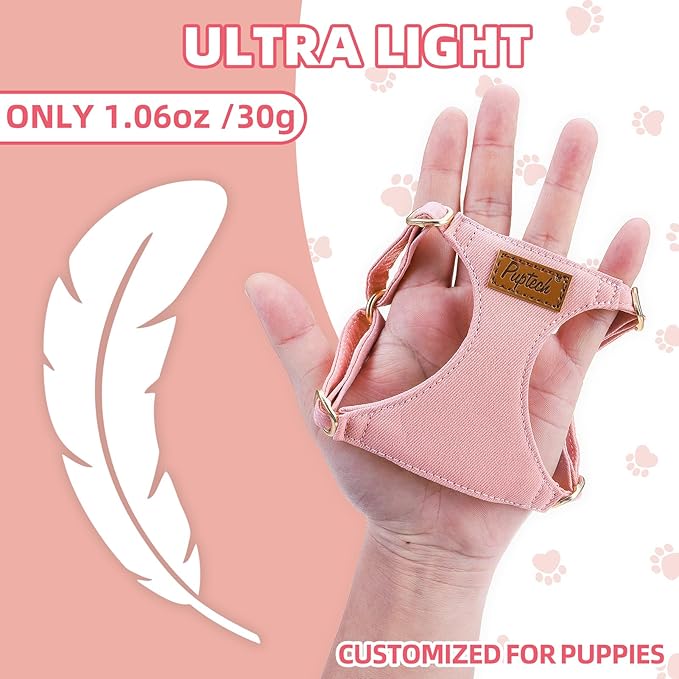 PUPTECK Dog Harness and Leash Set Small Sized, Step-in Cute Puppy Harness, Soft Lightweight Padded Vest, Escape Proof No Pull Pet Harnesses Easy for Walking, Pink, XXS