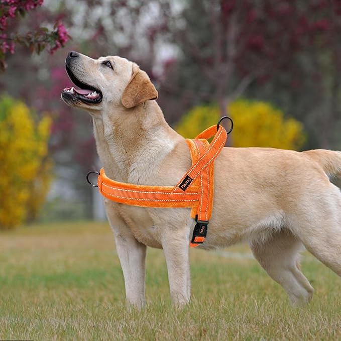 Didog Soft Flannel Padded Dog Vest Harness, No Pull/Quick Fit Reflective Dog Strap Harness, Easy for Training Walking (XS:Chest 15-18", Orange)