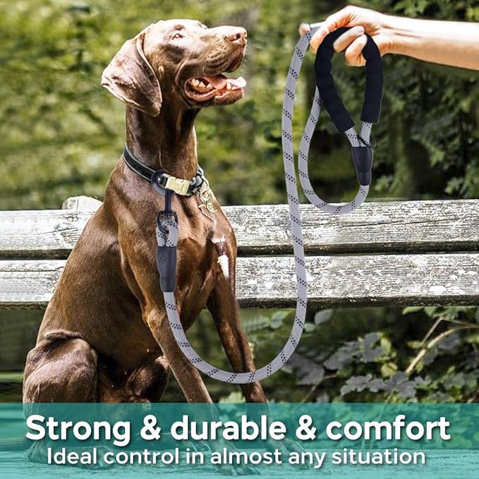 COOYOO Dog Leash 5/6 FT with Comfortable Padded Handle and Highly Reflective Threads for Small Medium and Large Dogs