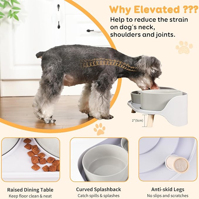 Elevated Slow Feeder Dog Bowls - Ceramic Food and Water Bowl Set with Stand - Raised Pet Dishes for Small and Medium Sized Dogs