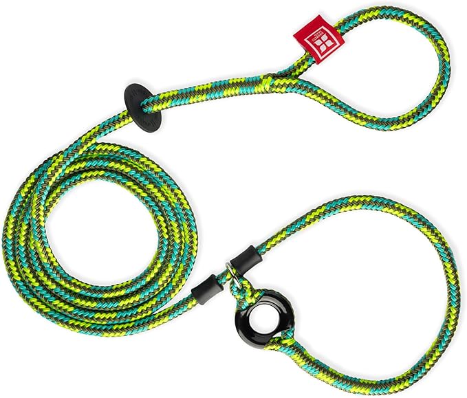 Harness Lead No Pull Dog Harness and Leash Set, Anti Pull Dog Harness, One-Piece Cushioned Rope Safely Prevents Escaping and Pulling *New Insert is Removable (Small/Medium, Rainforest)