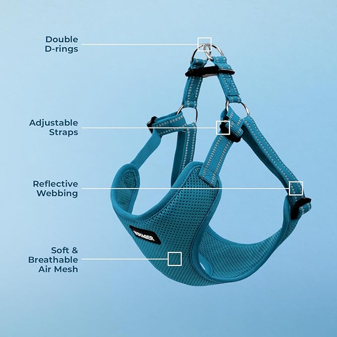 Best Pet Supplies Voyager Mesh Dog Breathable Harness Reflective Stitching, All Weather Adjustable for Walking Training, or Running - Heavy Duty & Durable, Harness (Turquoise), L