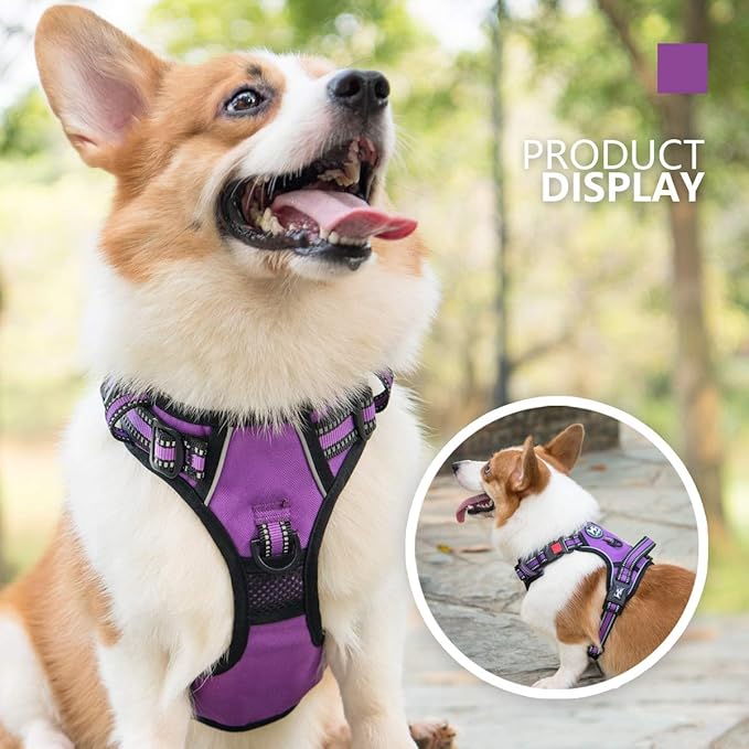 PoyPet No Pull Dog Harness, [Release on Neck] Reflective Adjustable No Choke Pet Vest with Front & Back 2 Leash Attachments, Soft Control Training Handle for Small Medium Large Dogs(Purple,S)