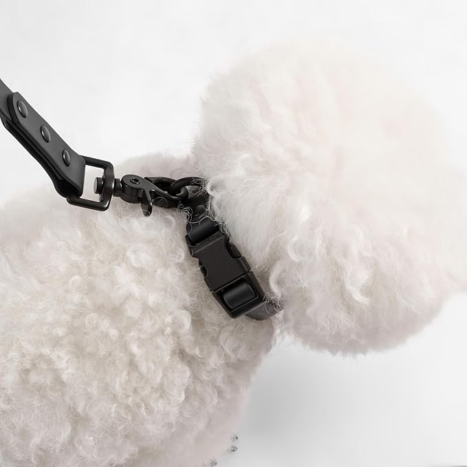 WLK1004I-5SET Luna Small 8FT Adjustable 6-in-1 Waterproof Hands-Free Leash and Collar with LED Flashlight, Bag Dispenser, and Poop Bag Holder, Bitters