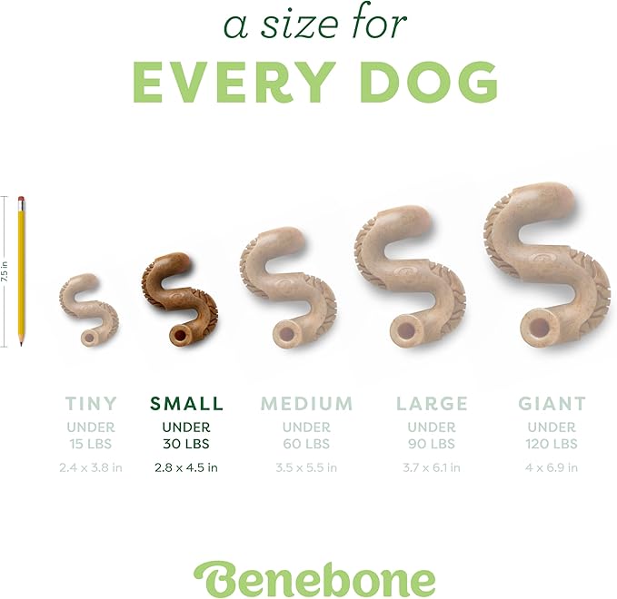 Benebone Tripe Bone Durable Dog Chew Toy for Aggressive Chewers, Real Tripe, Made in USA, Small